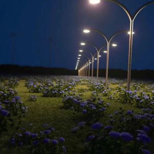 农村人孩子吃母乳
